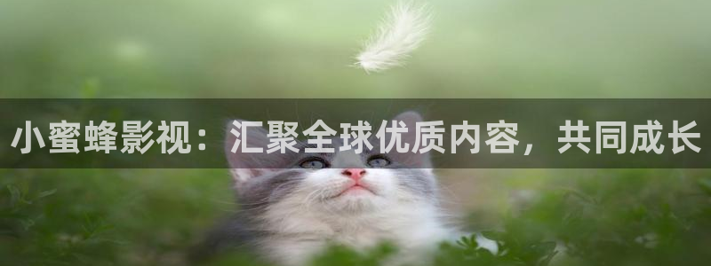 丝瓜视频第七影院