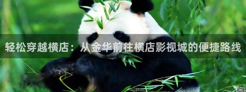 丝瓜视频影院：轻松穿越横店：从金华前往横店影视城的便捷路线